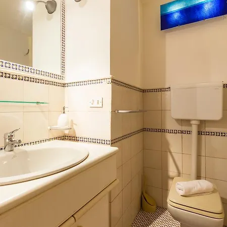 In - Bh 107 فيلة فيكو إيكوينس